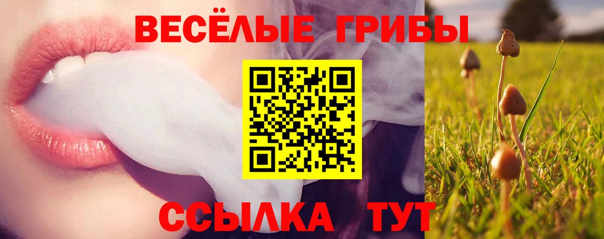 Кольчугино  Галлюциногенные грибы ЛСД  Галлюциногенные грибы Psilocybine cubensis  Вход с VPN 